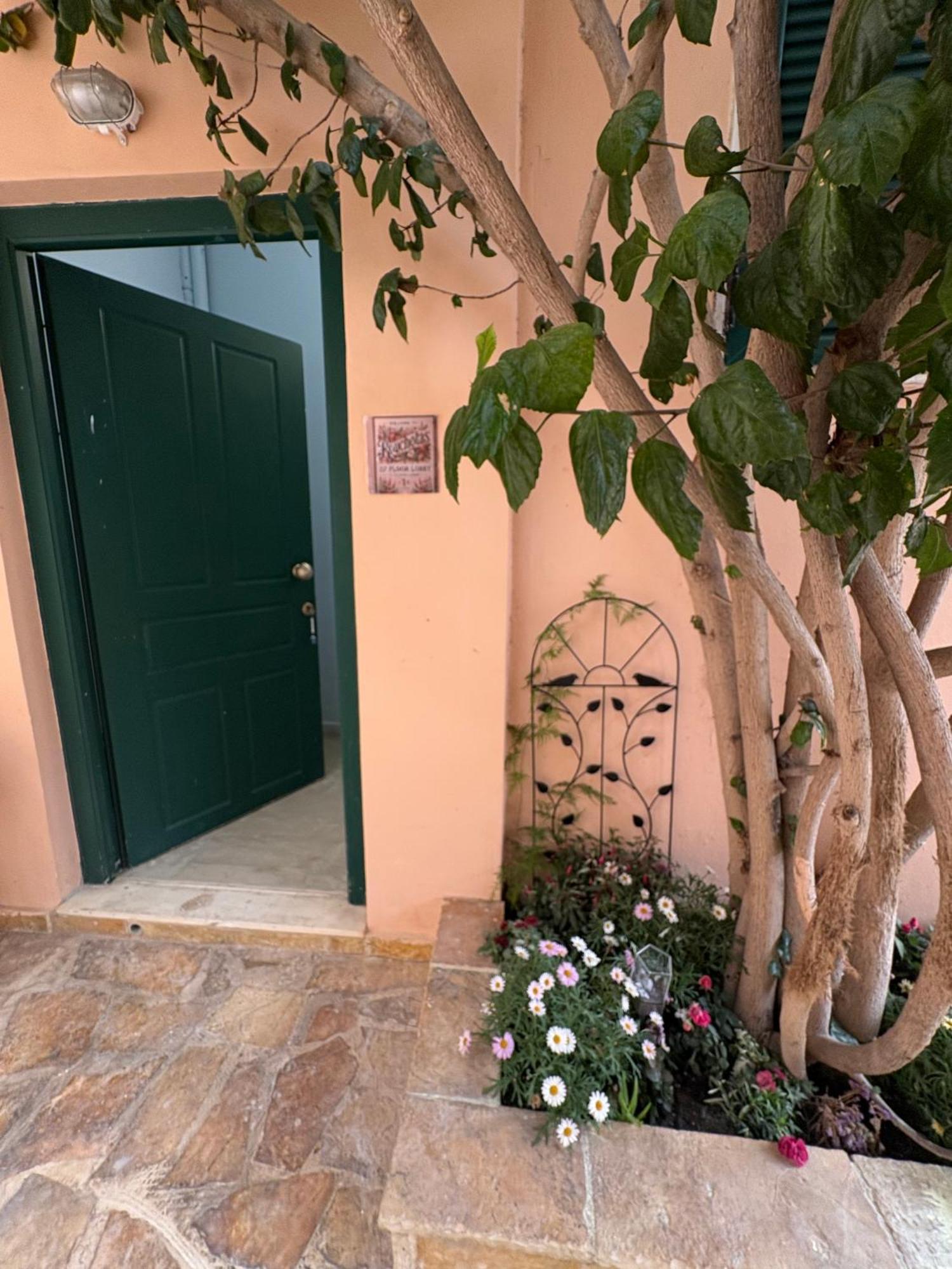 Rouchotas Studios By Viktor 1Rst Floor Argostoli  Luaran gambar